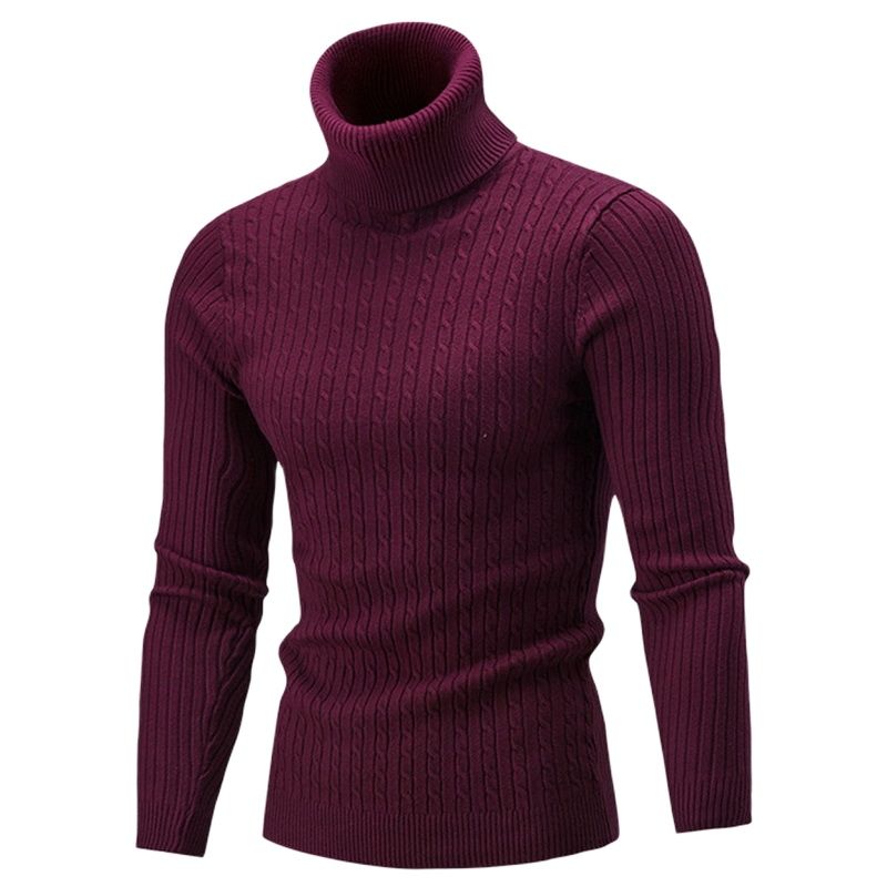 Autumn Winter Men Turtleneck Sweater Men Knitting Pullovers Rollneck Knitted Sweater Warm Men Jumper Slim Fit Casual Sweater